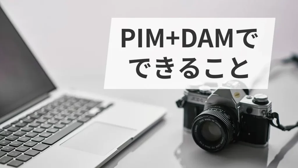 PIM+DAMでできること